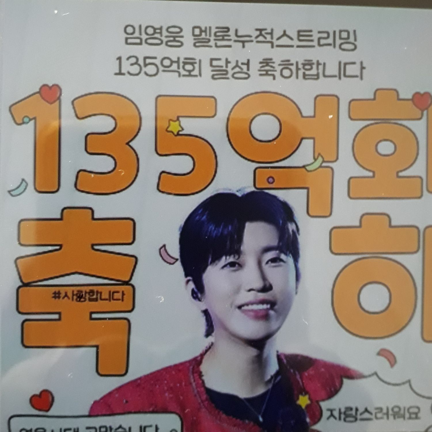 임영웅 팬이 찍은 순간