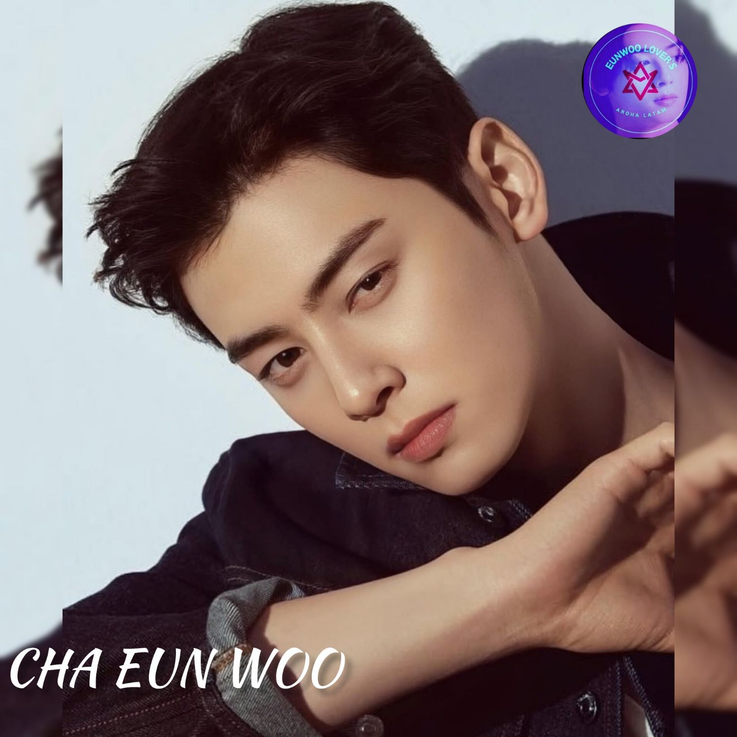 ファンが撮影したチャ・ウヌの瞬間