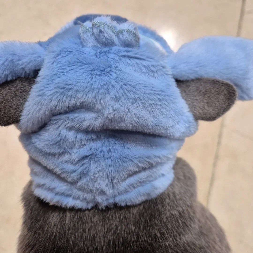 Recent activity shot of Seo Yeaji