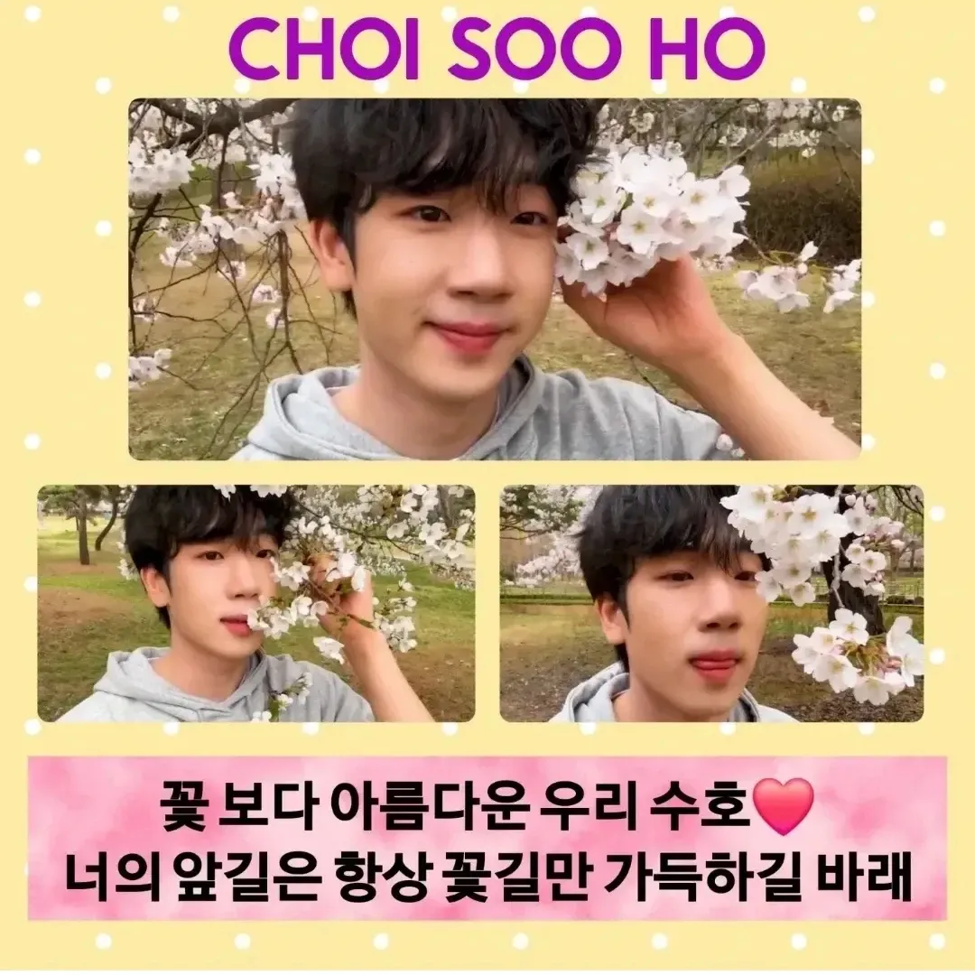 A moment captured by a fan of Choi Sooho