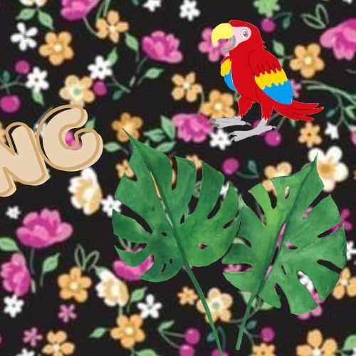 Recent activity shot of Park Boyoung