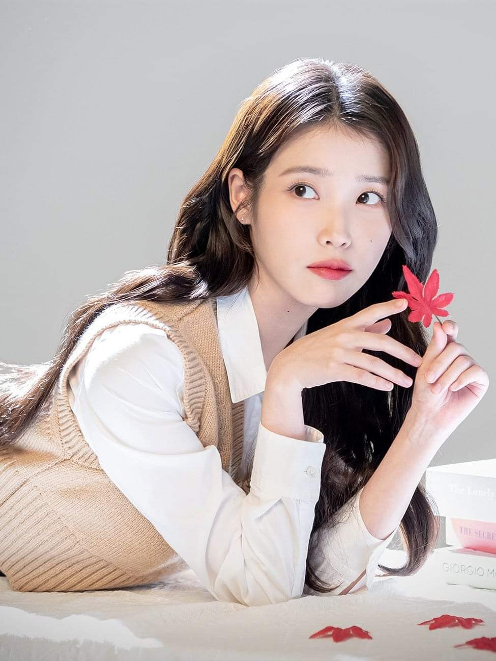 A moment captured by a fan of IU