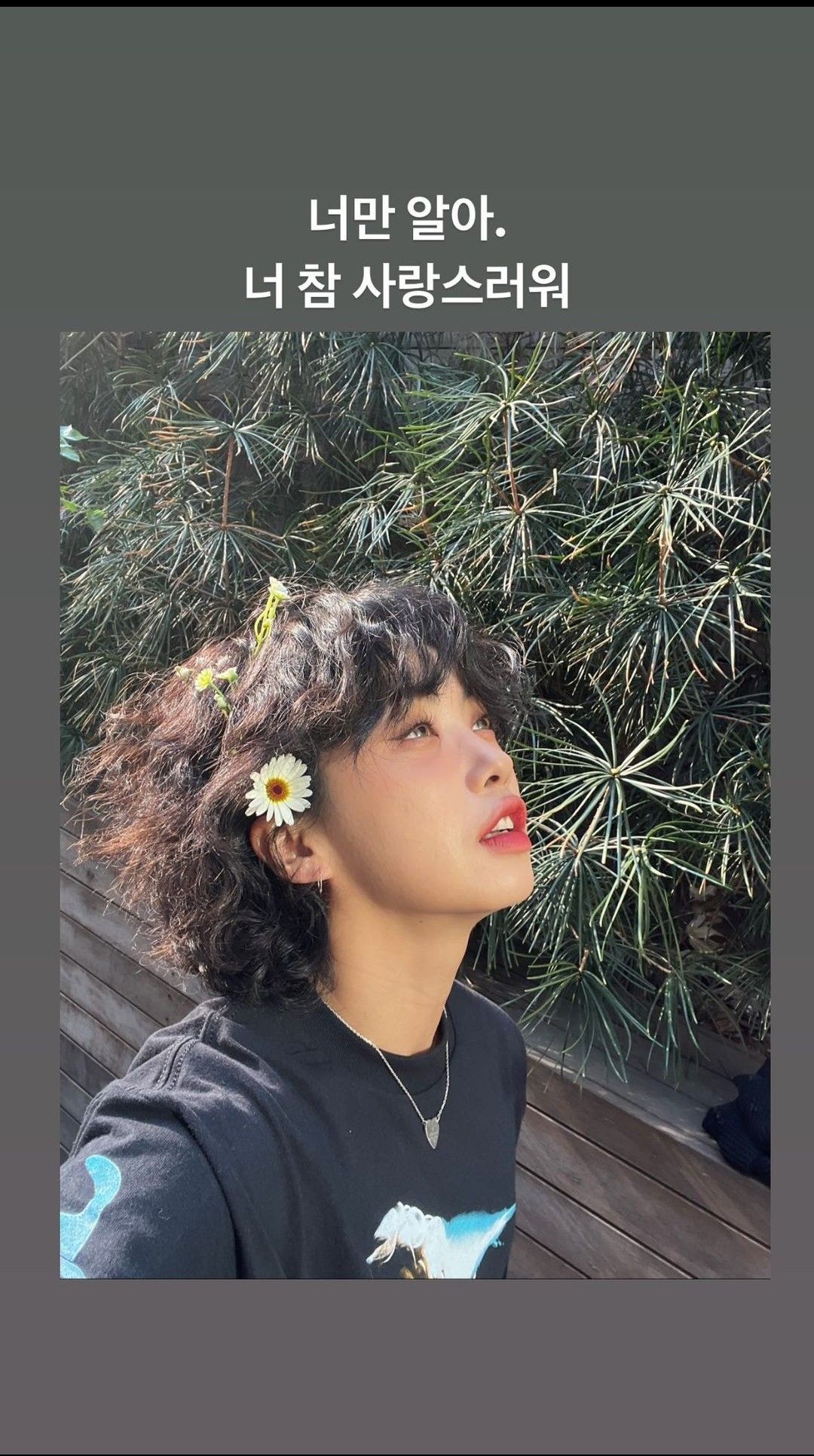 Aiki background image recommended by Choeaedol Celeb fandom