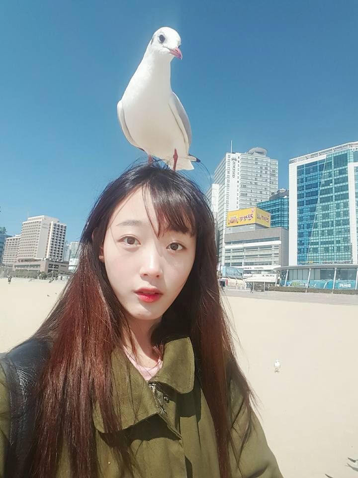 A moment captured by a fan of Lee Youmi