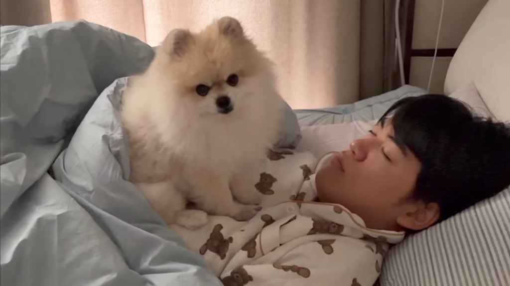 A moment captured by a fan of Gumayusi