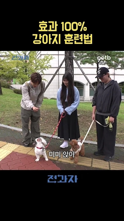 Representative background image loved by KAI fandom