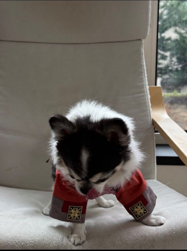 Recent activity shot of Board