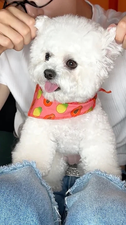 车银优的最新照片