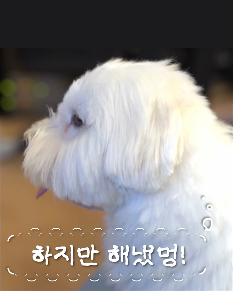 粉丝拍下的林英雄瞬间