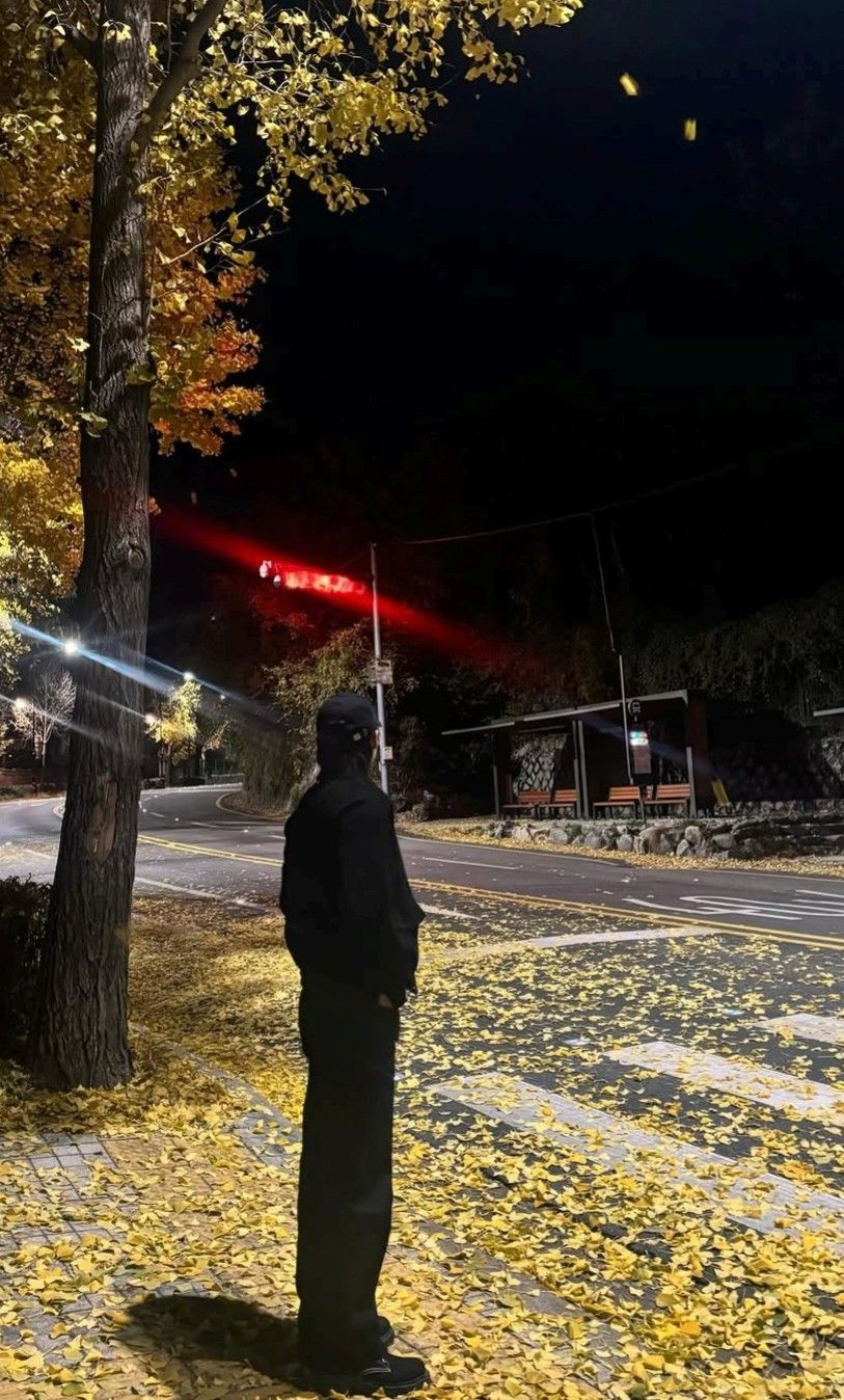 Special wallpaper made by Wen Junhui's fans