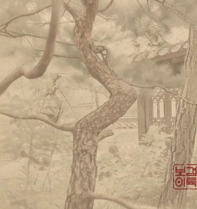 A moment captured by a fan of Park Bogum