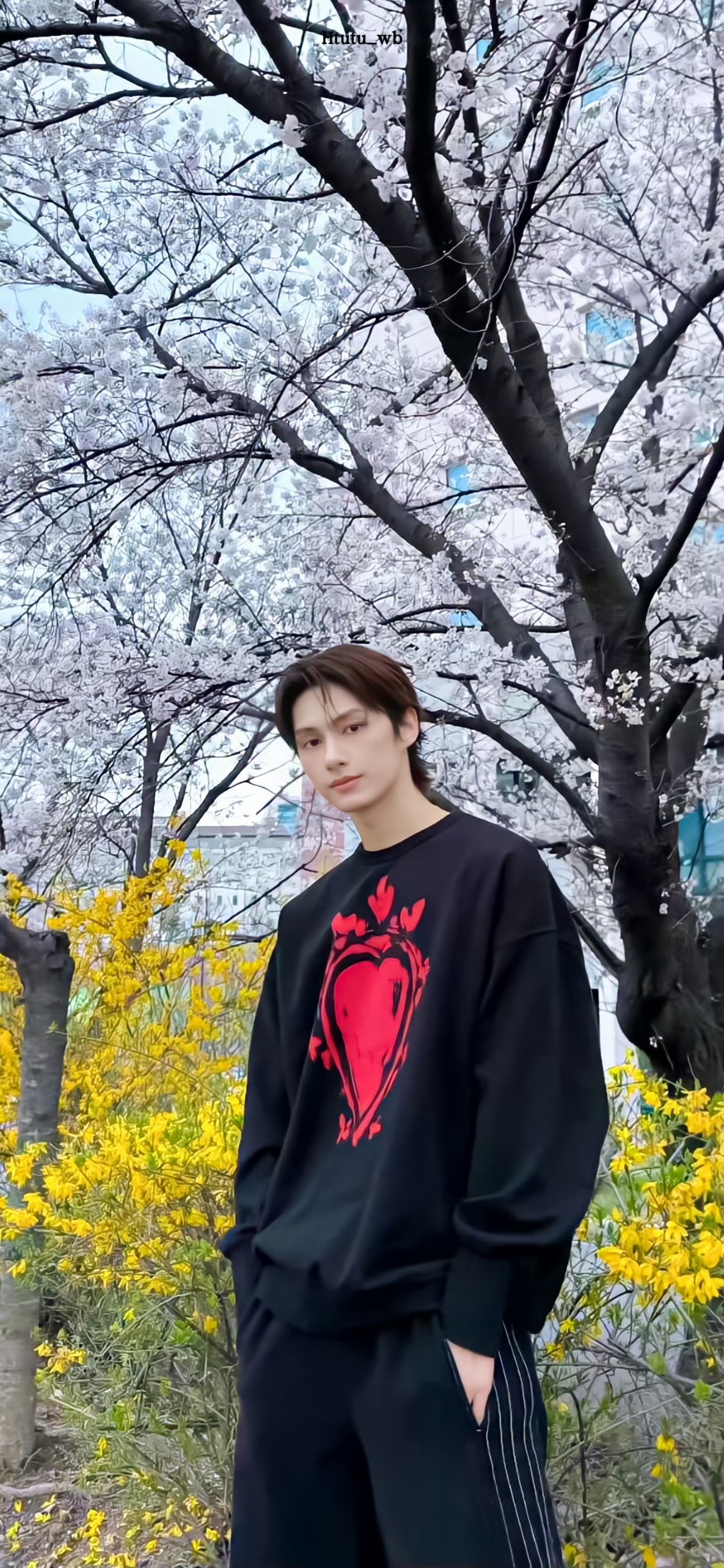 Wen Junhui background image recommended by Choeaedol Celeb fandom