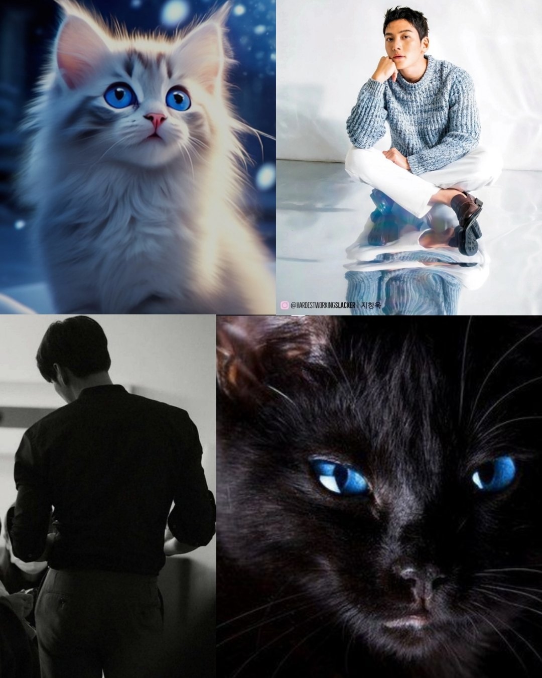 池昌旭的近期活動照