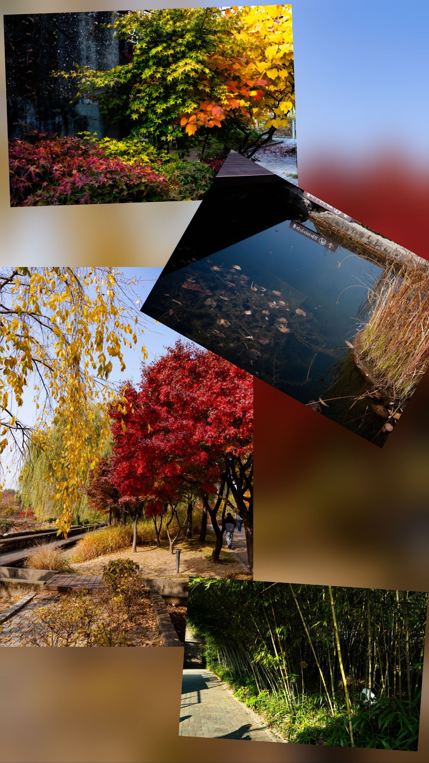 Foto terbaru dari Kim Seonho