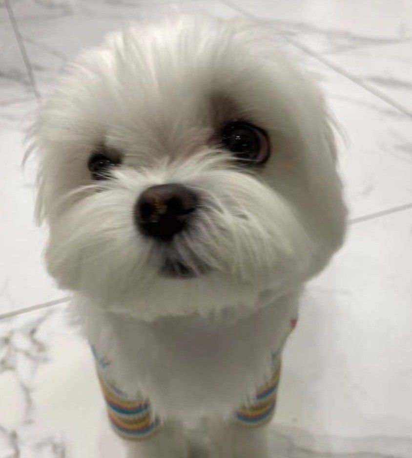 Latest photo of Son Yejin