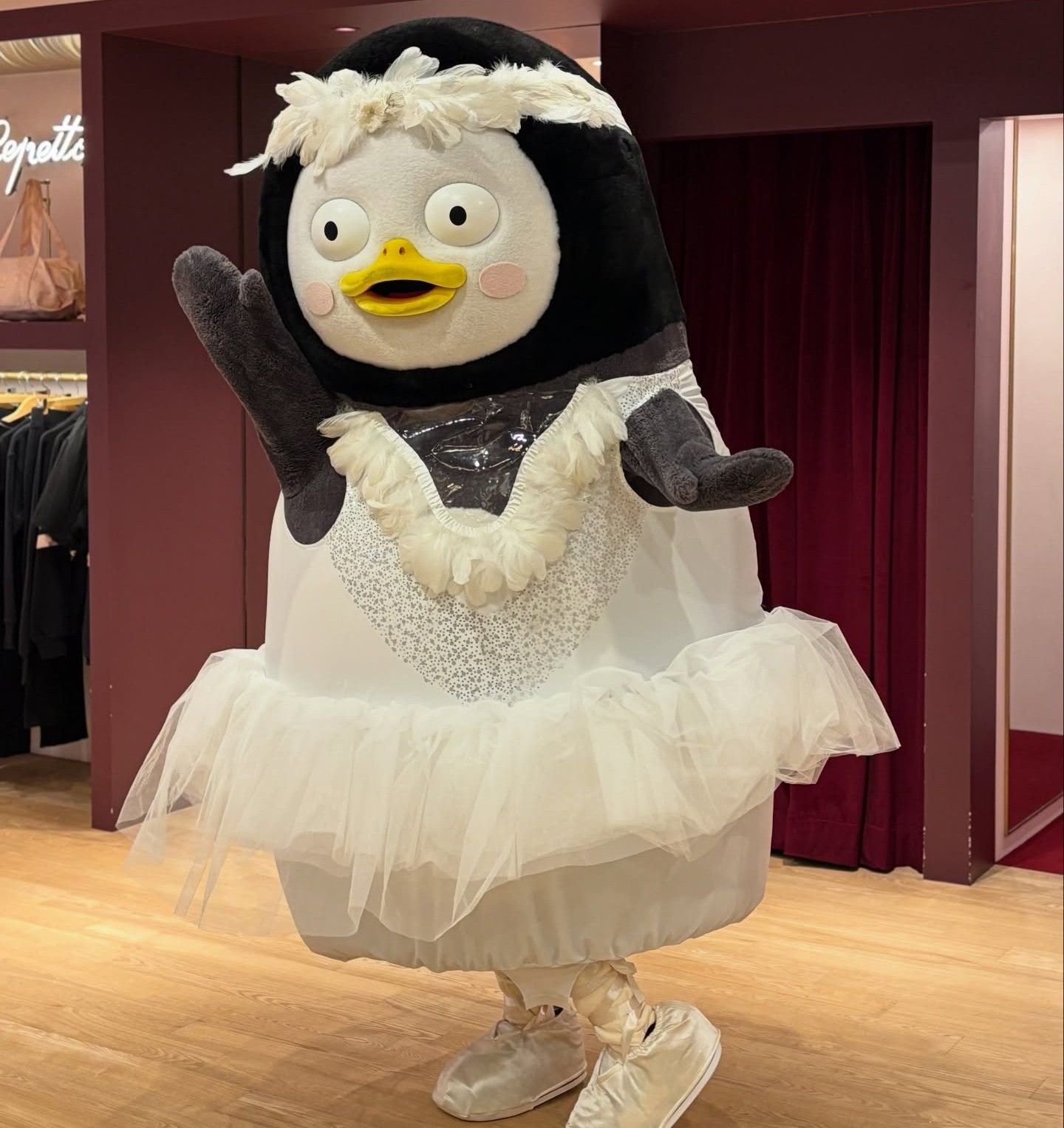 Foto terbaru dari Pengsoo