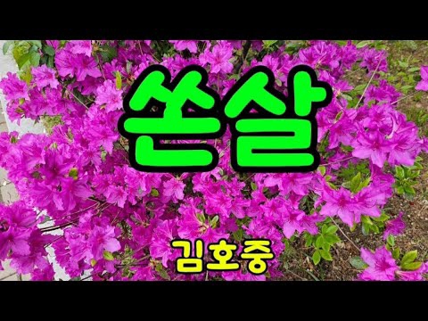 Latest photo of Kim Hojoong