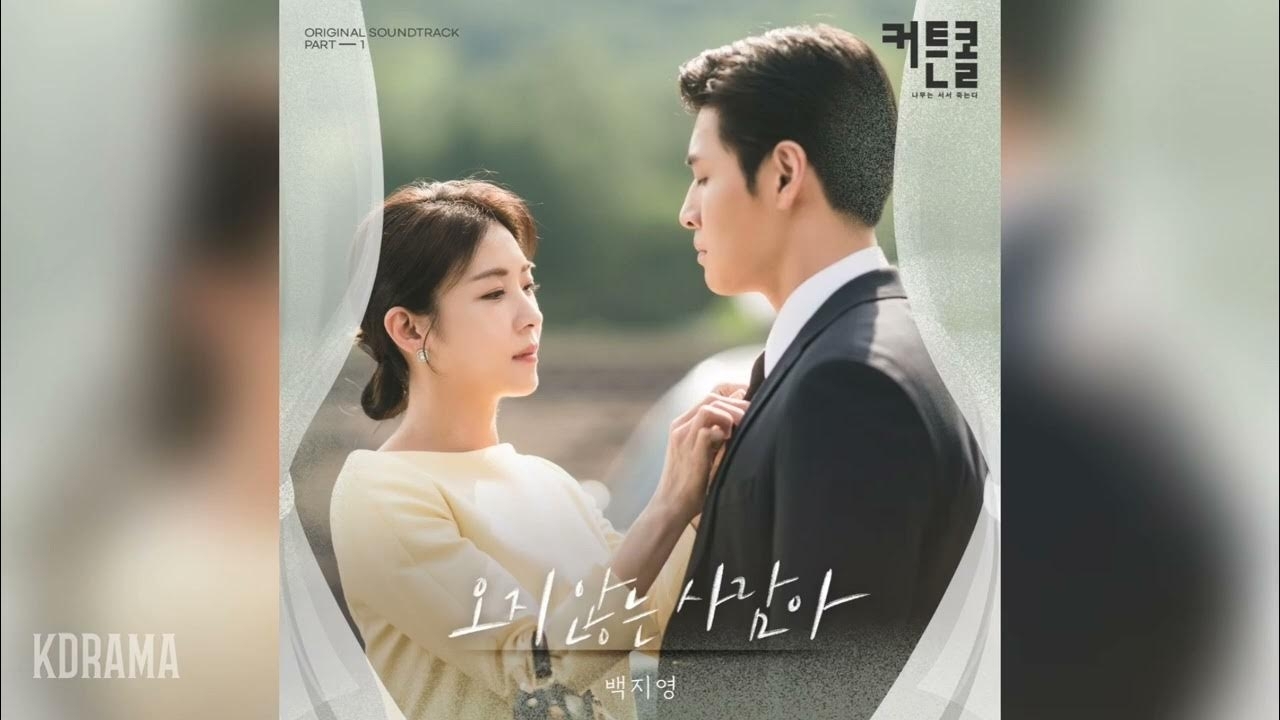 A moment captured by a fan of Ha Jiwon