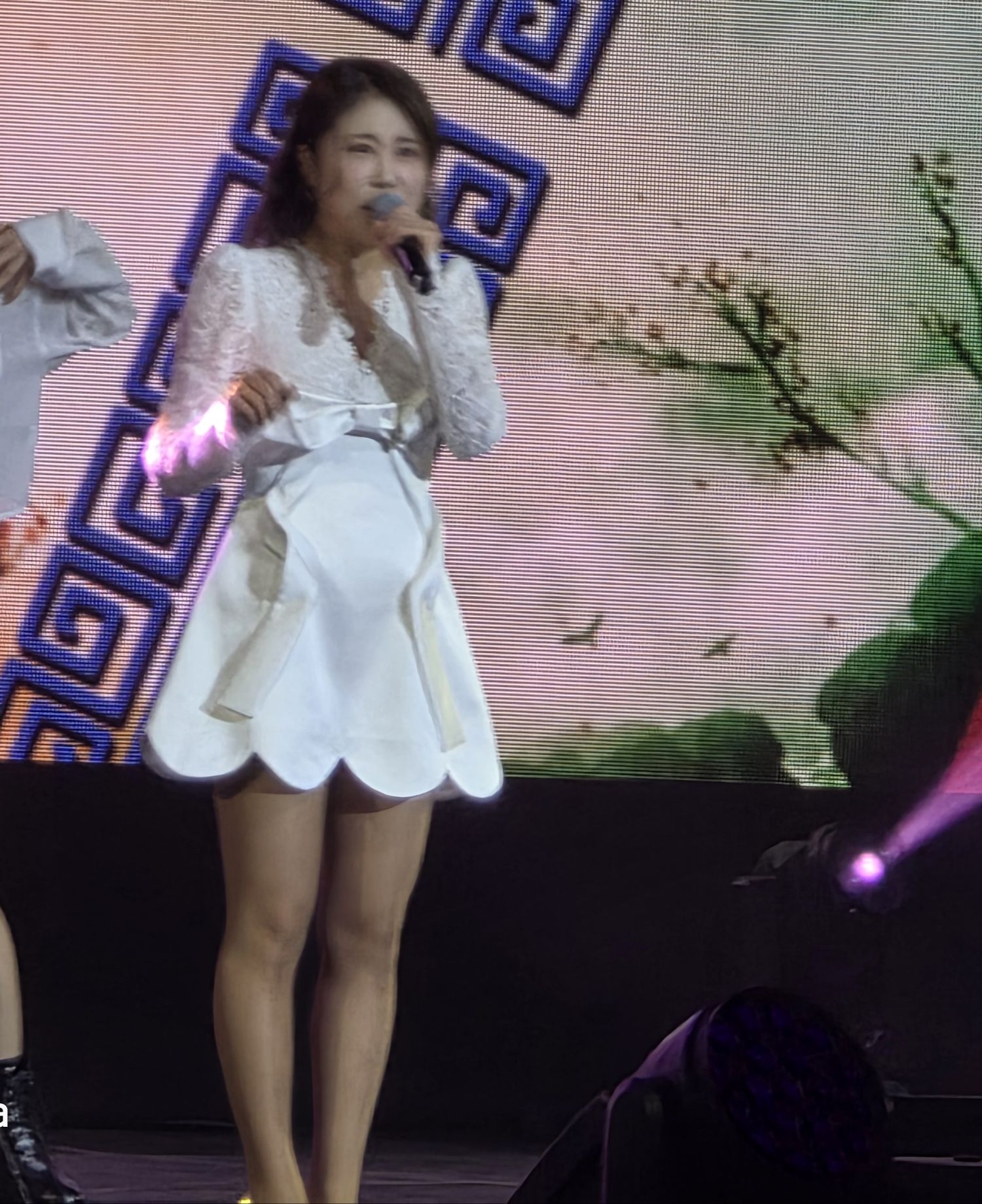 金韶宥的最新照片