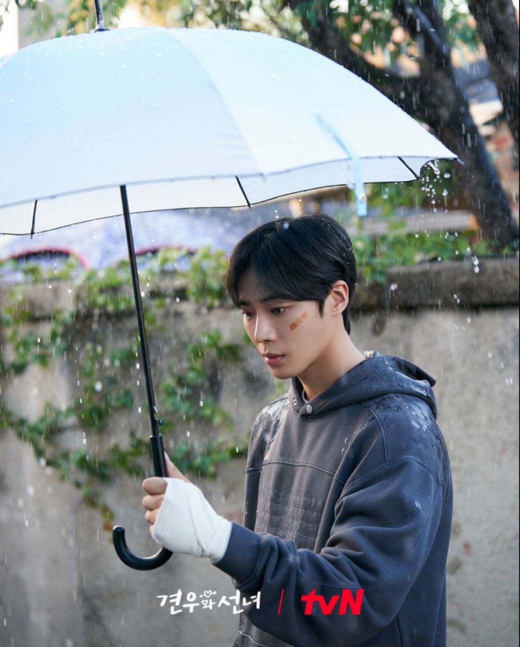 Recent activity shot of Choo Youngwoo