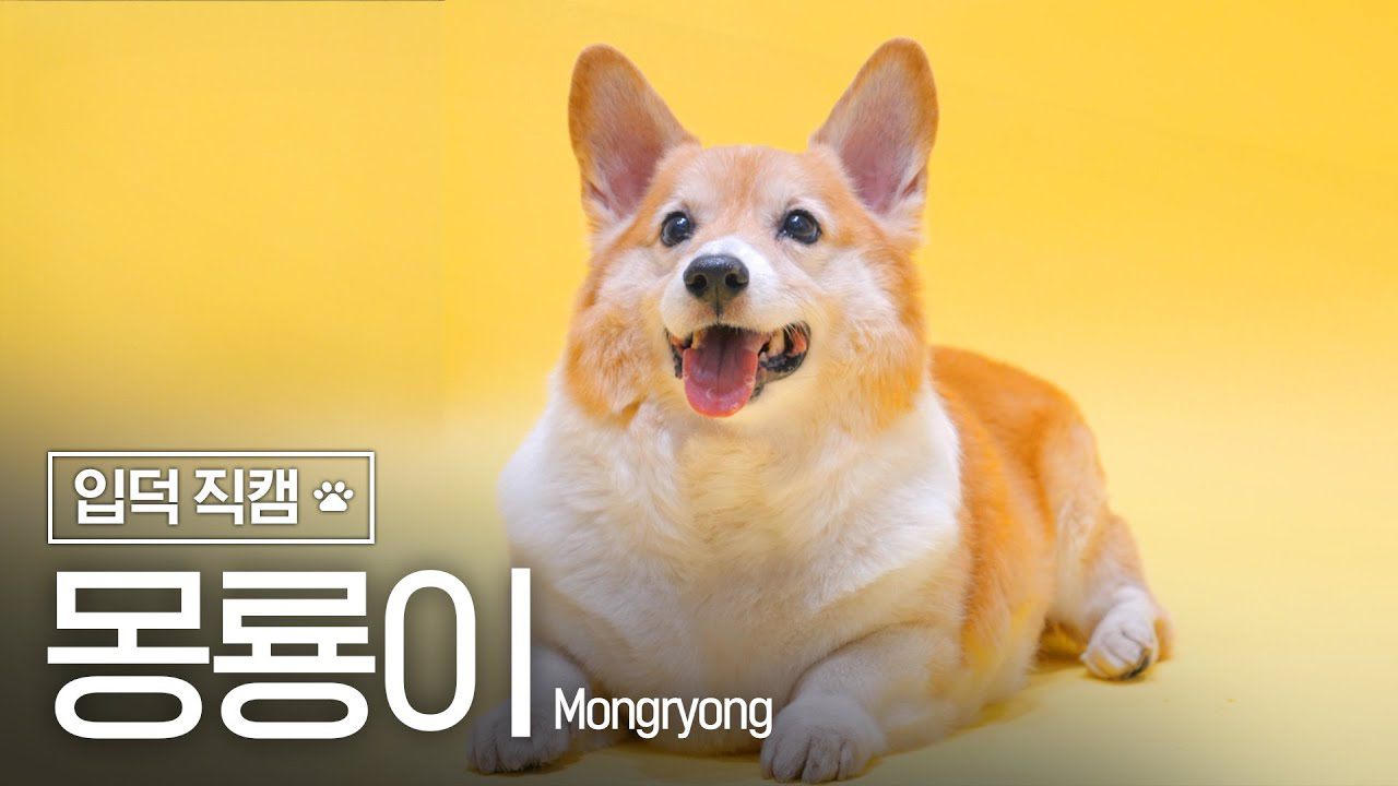 Latest photo of Baekhyun