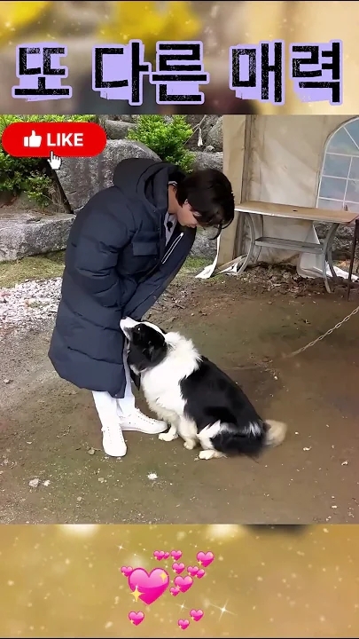 金熙栽的近期活動照