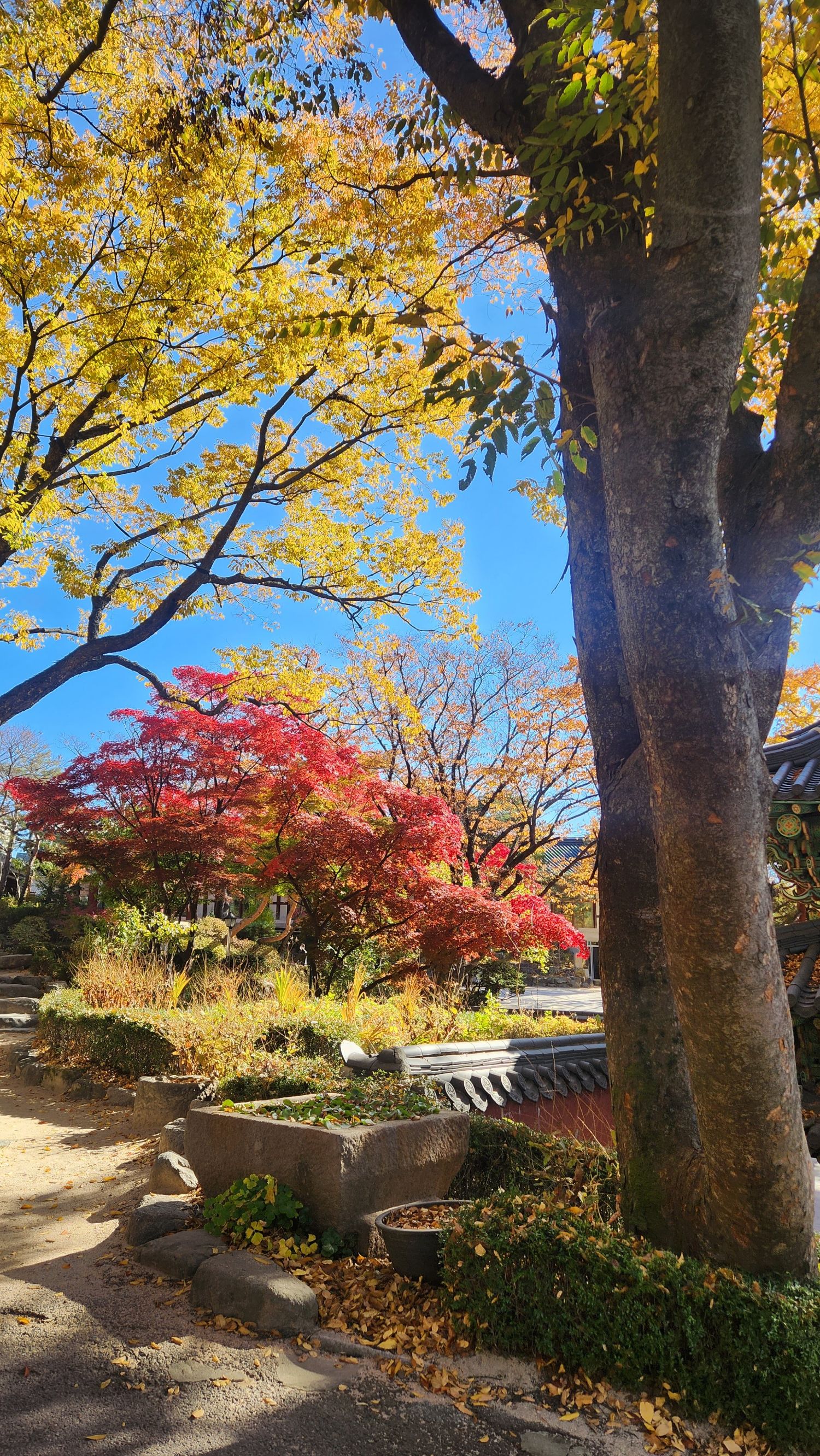 Latest photo of Jin Haesung