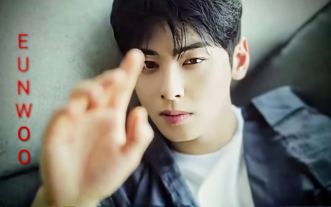 A moment captured by a fan of Cha Eunwoo