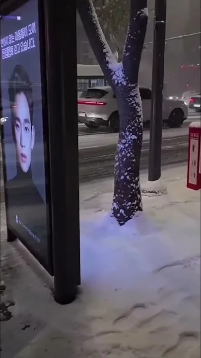 キム・スヒョンのビハインドカット