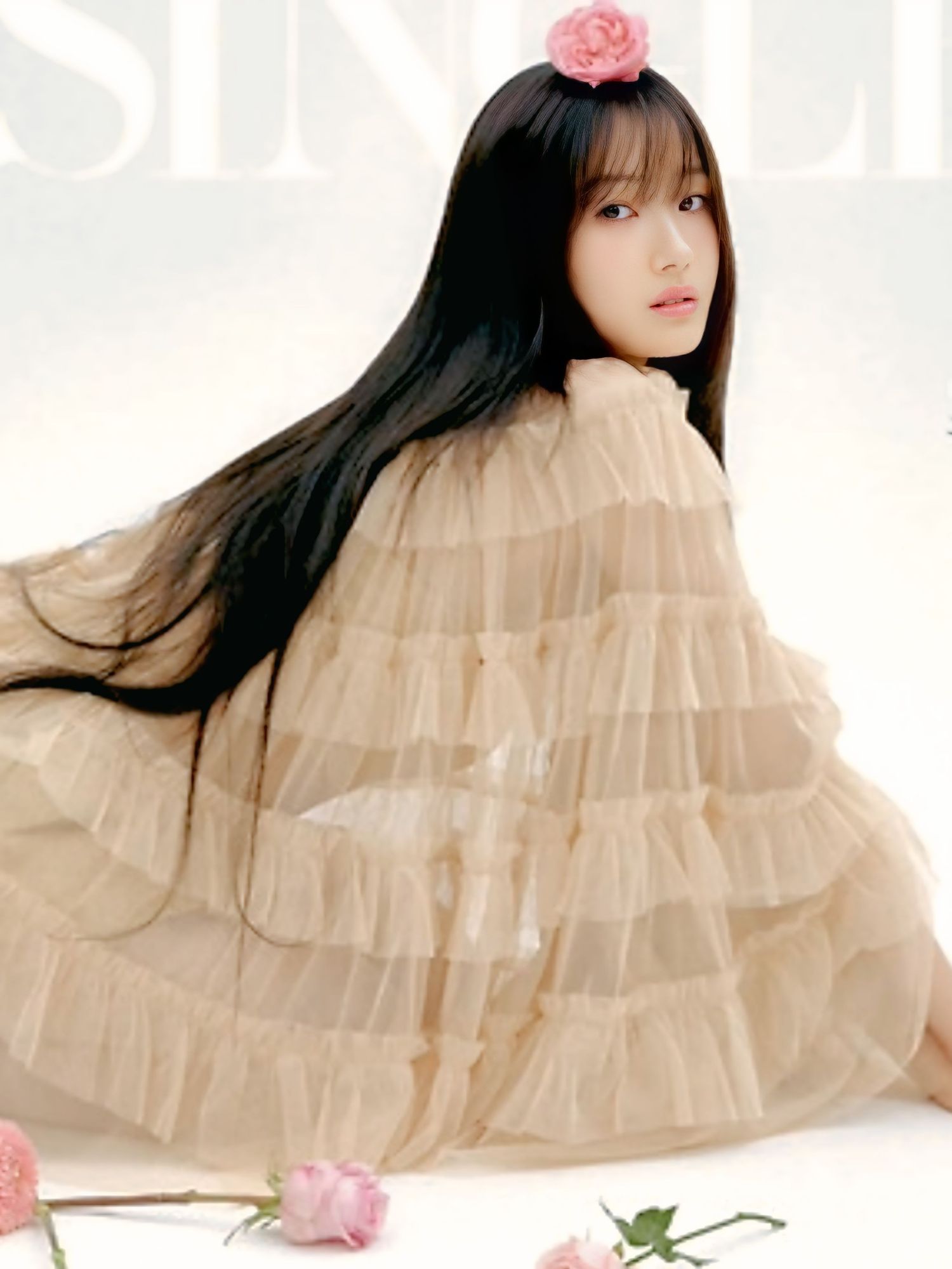 金惠奫的最新照片