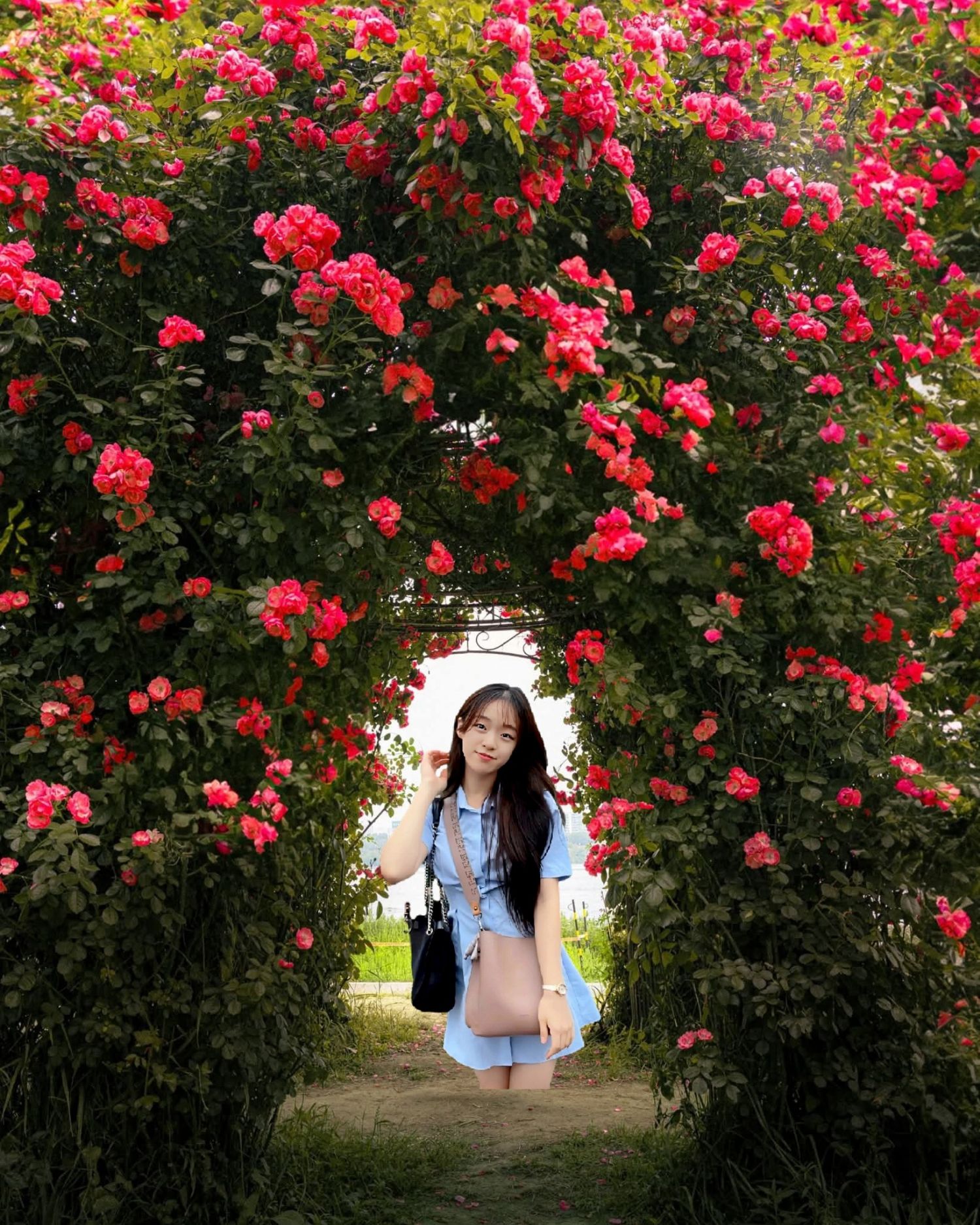 Recent activity shot of Chae Suhyeon