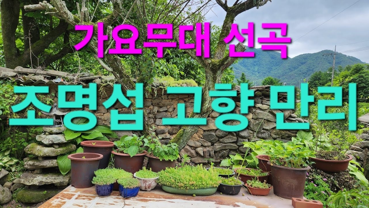 Momen yang diabadikan oleh penggemar Jo Myungsup