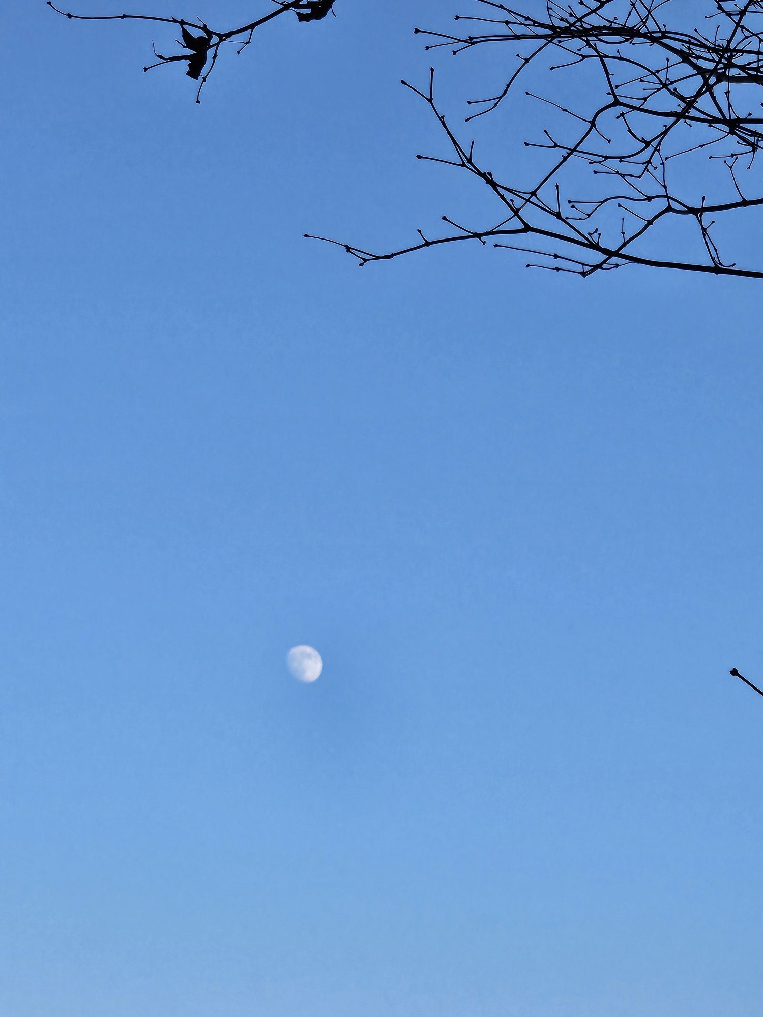 조명섭 최근 활동샷