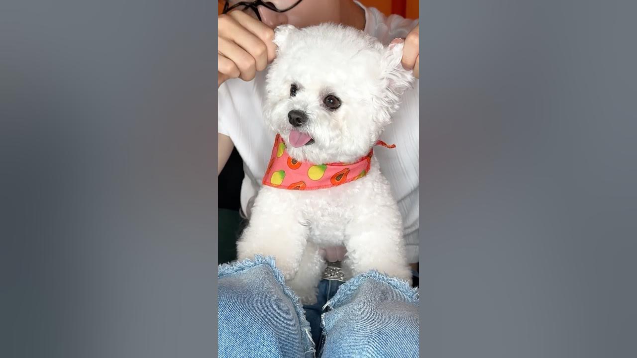 Foto kegiatan terbaru dari Cha Eunwoo