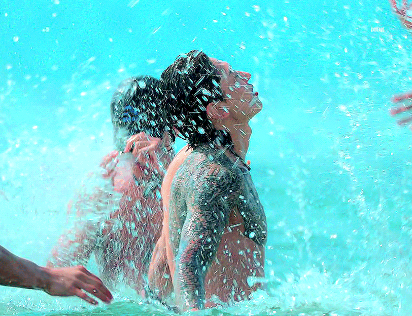 Recent activity shot of Dex