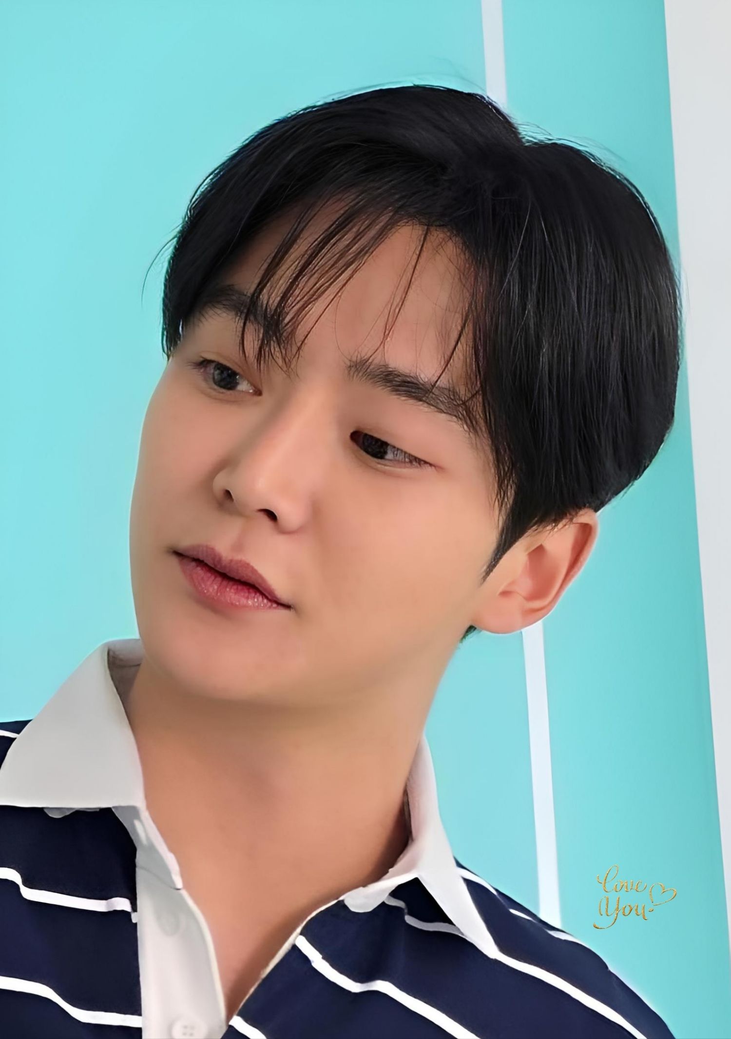 로운 최근 활동샷