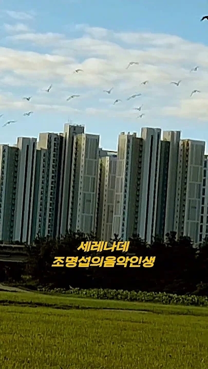 Representative background image loved by Jo Myungsup fandom