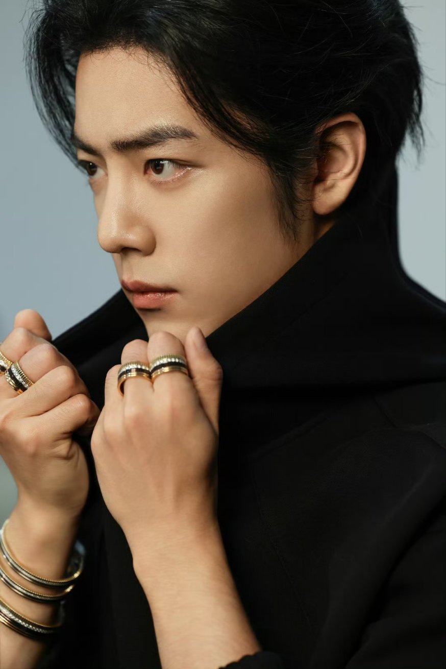 Recent activity shot of Xiao Zhan