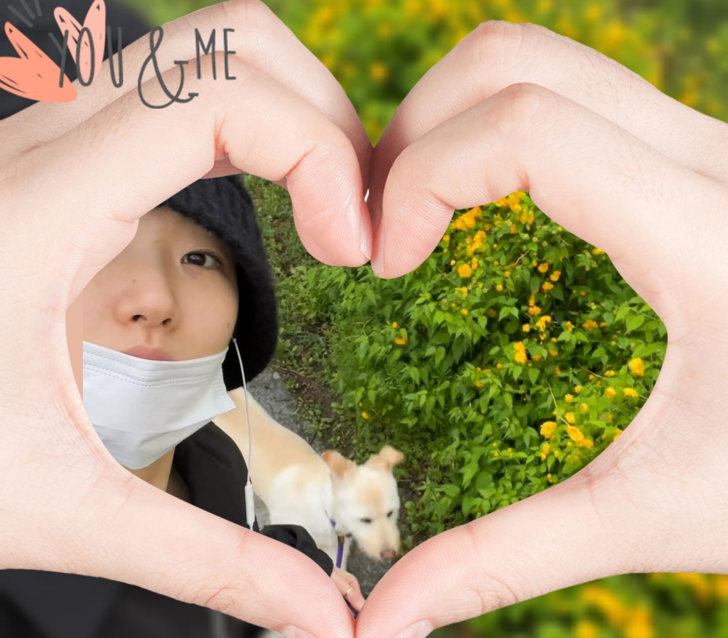 金高銀的最新照片