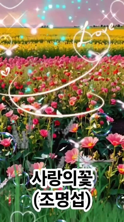 Special wallpaper made by Jo Myungsup's fans