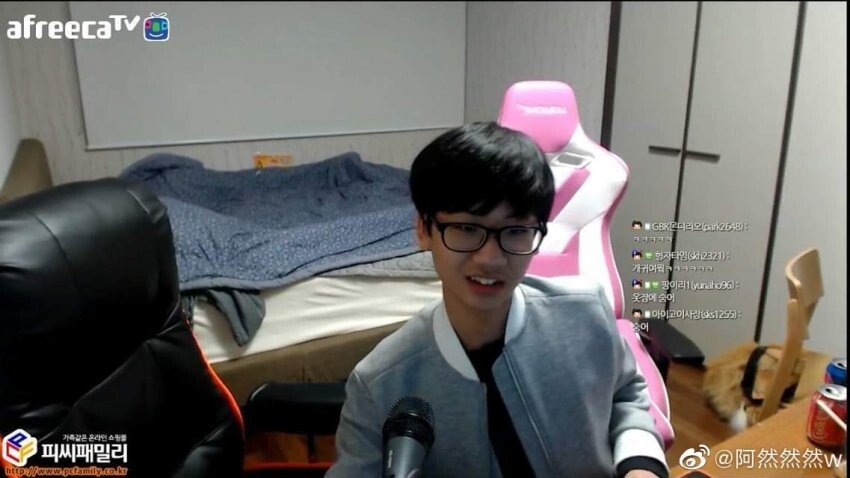도란 최근 활동샷