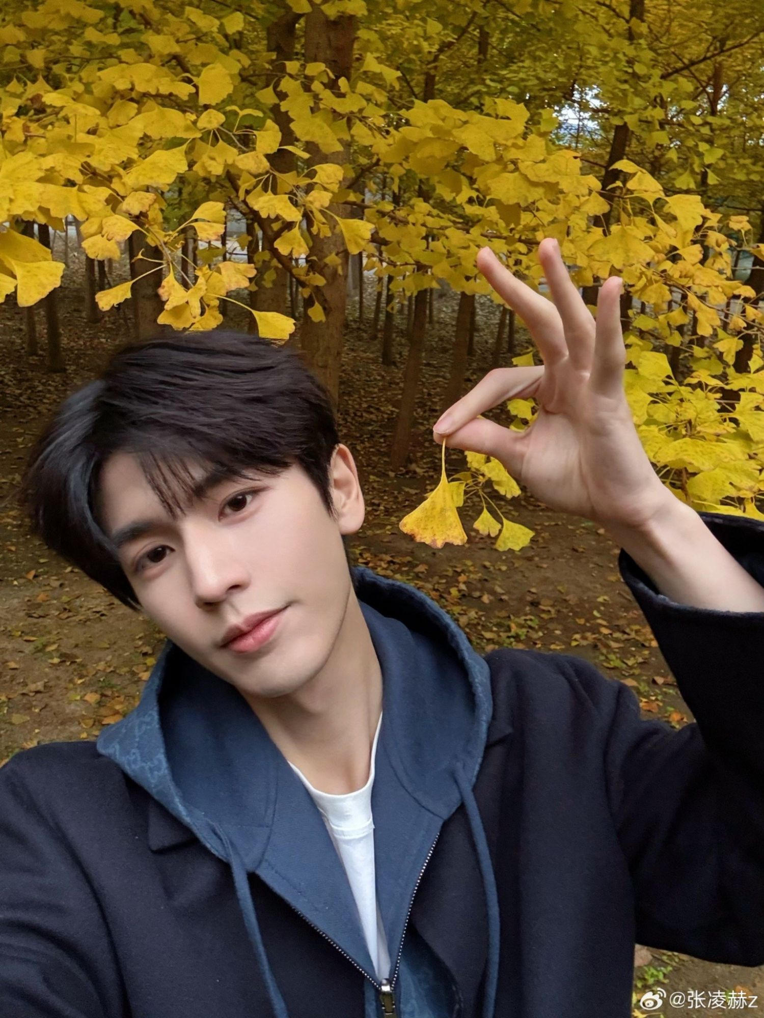 Recent activity shot of Zhang Linghe