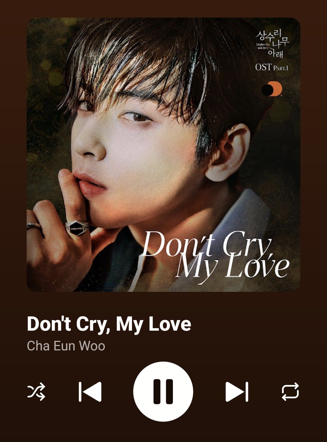 Behind-the-scenes cut of Cha Eunwoo