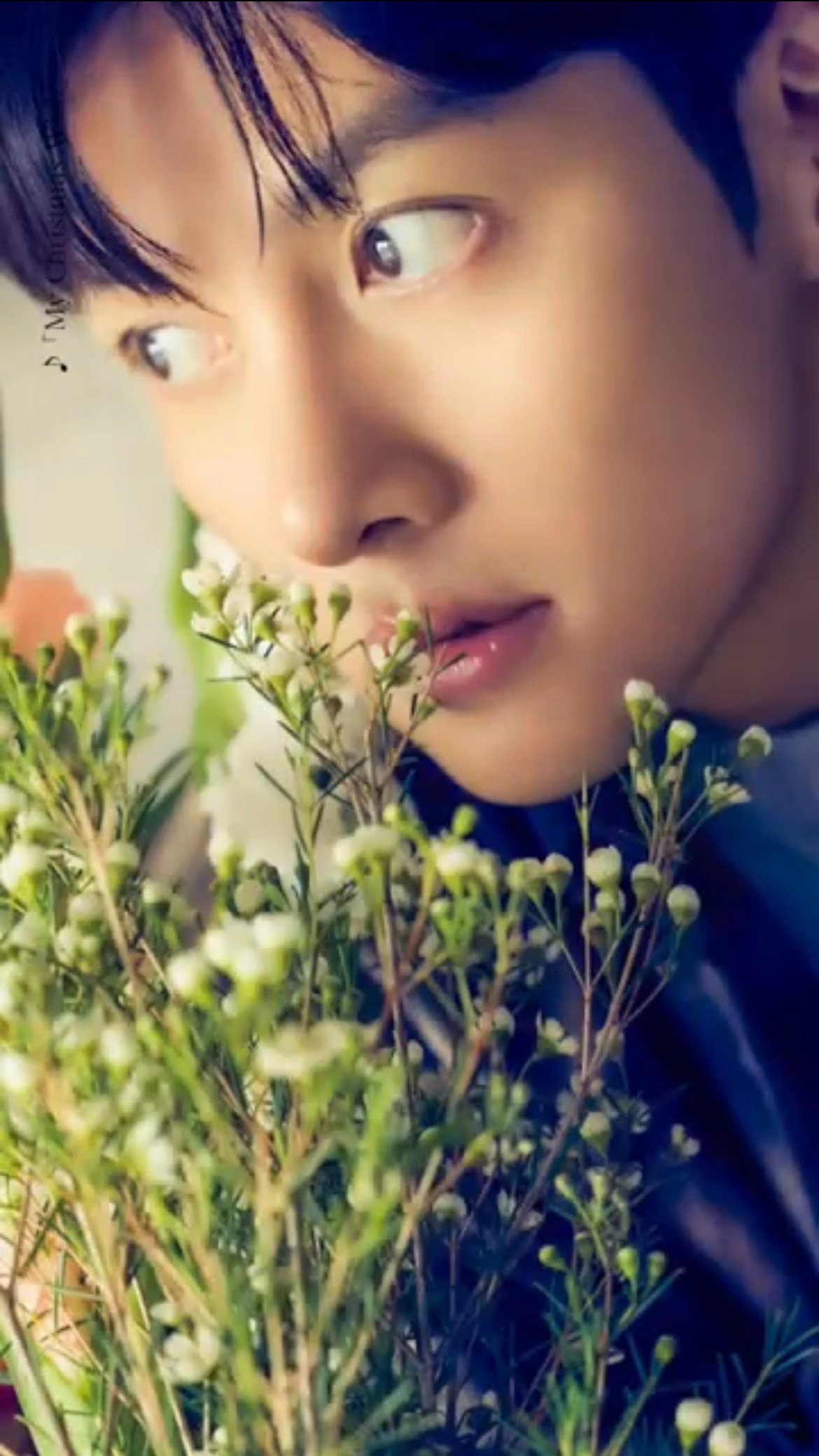 Behind-the-scenes cut of Ji Changwook