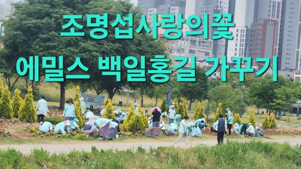 赵明燮的幕后花絮