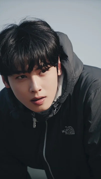 Special wallpaper made by Cha Eunwoo's fans