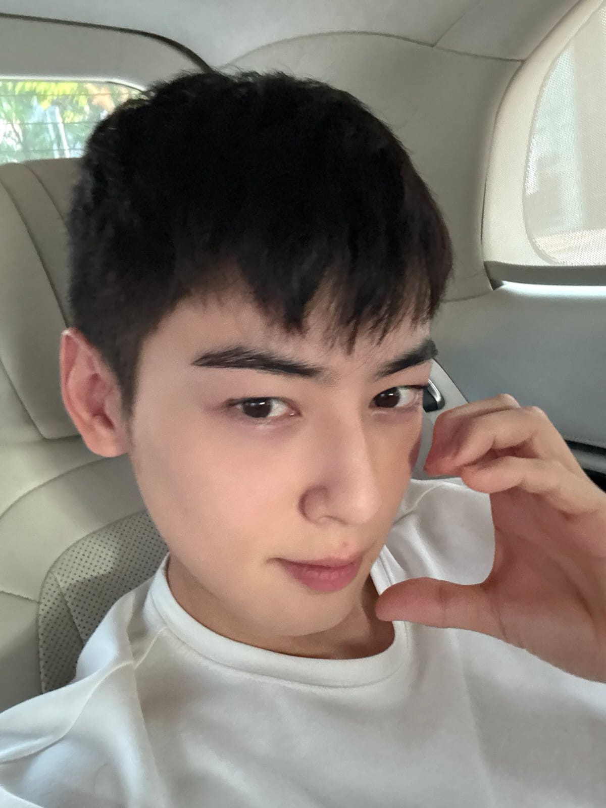 Latest photo of Cha Eunwoo