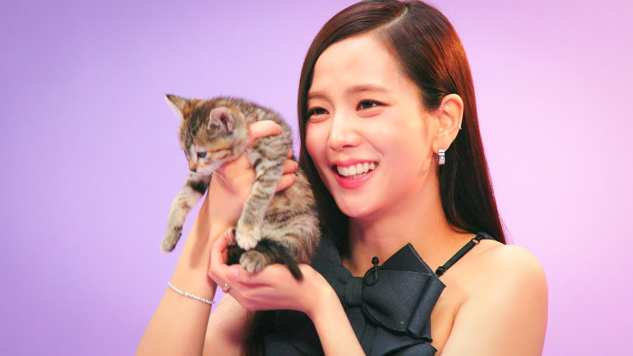 A moment captured by a fan of Jisoo (1995)