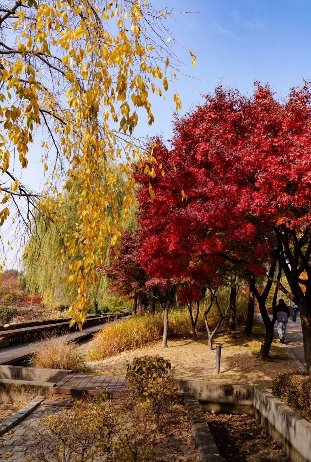 キム・ソンホの最近の活動ショット
