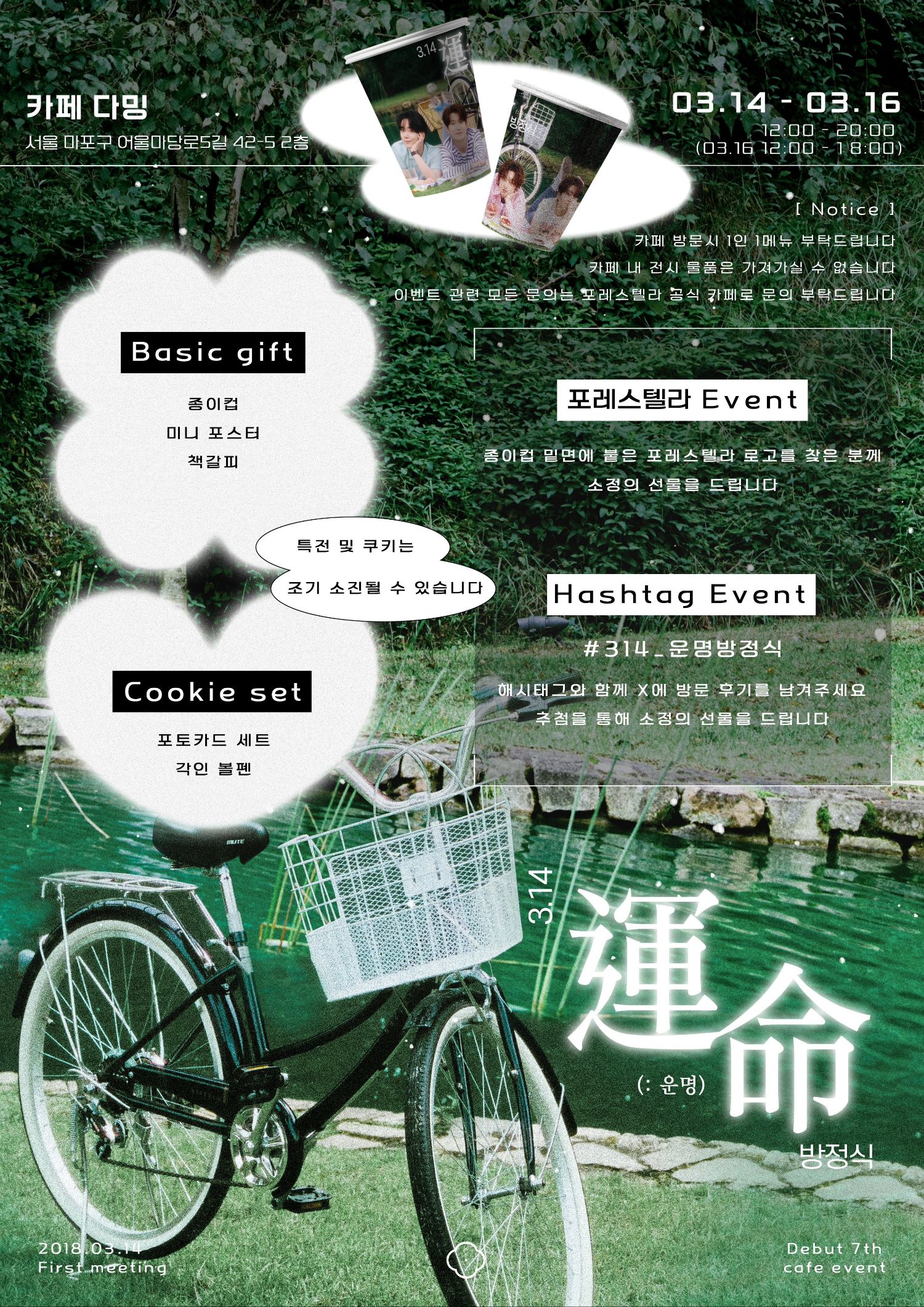 Forestella的幕后花絮